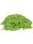 Dough Kinetik Kum 500 G Yeşil 2