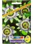 Passiflora Çarkıfelek Çiçeği Tohumu 1