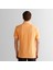 Erkek Turuncu Regular Fit Polo 2