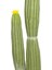 Yapay Kaktüs Saksılı Sarı Çiçekli 92 Cm. 2