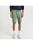 Erkek Yeşil Regular Fit Şort 2