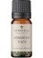 Monoville Biberiye Uçucu Yağı 10 ML%100 Saf ve Doğal (Rosemary Oil) 1