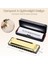Diatonik Blues Mızıka, C Blues Harp Mızıka, 10 Delikli, Koruyucu Kılıflı, Standart Mızıka, Yetişkinler, Profesyoneller, Yeni Başlayanlar ve Öğrenciler Için Hediye (Altın) 2