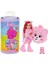 JCN97 Chelsea Cutie Reveal Care Bear Serisi 5