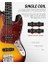 DJB-510D Jb-Style Bas Gitar (Sunburst) 3