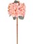 Yapay Ortanca Kurumuş Efektli Pembe 65 Cm. 1