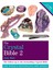 The Crystal Bible Volume 2: Godsfield Bibles 1
