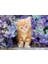 - 500 Parça Hq Collection Yetişkin Puzzle - Ginger Cat In Flowers 2