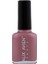 Alıx Avıen Pembe Nude Oje 54 - Yüksek Pigmentli Uzun Süreli Kalıcılık Hızlı Kuruma - Nail Lacquer 54 1