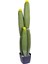 Yapay Kaktüs Saksılı Sarı Çiçekli 103 Cm. 1