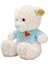 Tişörtlü Peluş Ayı 40 cm - Mavi 3