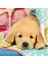 3X49 Parça Puzzle Puppies Renkli 3+ 2