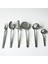 6 Parça Paslanmazçelik Servis Takımı 1