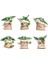Bebek Yoda 6 Adet Pasta Figürleri Seti Star Wars Grogu Mini Figürler Pasta Dekorasyonu Çocuklar Için 1