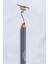 Alıx Avıen Kaş Kalemi Eyebrow Pencil Brown 3