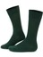 Erkek Yeşil Çorap 50318185-700 1
