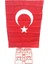 Türk Bayrağı 50X75CM Bez Bayrak BTK-104 2