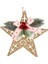 Yılbaşı Süsü, Yıldız, Yılbaşı Dekorlu, Simli, Gold - 10x13 cm 1