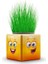 3 Adet Karışık 3 Tarafı Emojili Küp Çim Okul ve Okul Öncesi Hediyelik Çim Adam BAMBMNM418 3