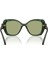 Swarovski Güneş Gözlüğü SK6051U 53 104382 3