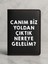 Ruhsat Koruyucu Baskılı Kart Bölmeli Siyah Vinlex Deri Ruhsat Kabı Kılıfı Yoldan Çıktık 1