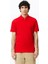 Paris Erkek Slim Fit Polo 3