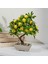 Dekor Yapay Limon Ağacı - Sarı - 24X18 cm 1