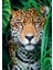 500 El. Compact Jaguar In The Jungle [puzzle] 2
