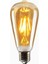 Tipi Edison Model Filament Tasarruflu ST64 LED Rustik Dekoratif Ampul Vintage Aydınlatma (1, 6 Watt ST64) 1