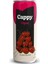 Cappy Vişneli Içecek Kutu 12X330 ml 1