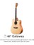 DAD-140C Dreadnought Akustik Gitar Paketi (Natural) 2