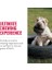 Köpek Extreme Kauçuk Oyuncak Lastik S 9cm 3