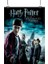 Harry Potter Poster2 - Retro Duvar Dekoru 1