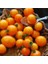 Adet Sun Gold Cherry Domates Tohumu 4