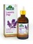 Arifoğlu Lavanta Yağı 100 ml 1