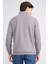 Çetinkaya Mentality 4412 Erkek Fermuarlı Dik Yaka Selanik Sweatshirt Açık Gri 4