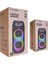 Mıcrolab M61, 80W, Taşınabilir, Bt/usb/aux/tf/tws, Rgb Işıklı, 2400MAH Batarya, 2ADET Vhf Mikrofon, Karaoke/parti, Bluetooth Speaker, 5