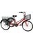 3 Tekerlekli Kargo Bisikleti 1