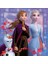 Puzzle 3X49 Parça Disney Frozen 2 Renkli 6+ 3