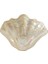 Concept Oyster Dekoratif Tabak Krem 16 cm 5