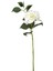 Yapay Çiçek Islak Dokulu Ortanca Beyaz Tek Dal 110 Cm. 1