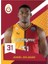 Cards Galatasaray Sezon Basketbol Kart Serisi - Karton Kutu 2024-2025 (20 Kart) 5