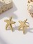 Altın Rengi Denizyıldızı Küpe 2