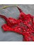 Romantik Tutku Kırmızı Kalp Işlemeli Transparan Dantel Bodysuit 1