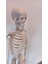 Eğitim Ürünü 85CM Iskelet Modeli Doğal İnsan Vücudu Detaylarıyla 3