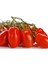 Adet Patio San Marzano Domates Tohumu 1