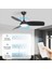 Kablosuz Tavan Vantilatörü Lambası Uzaktan Kumanda Kiti Ev Aydınlatma Sistemleri Için Zamanlama Fonksiyonlu Işık Kısıcı Us Plug (Yurt Dışından) 4