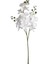 Çiçek Orkide 3 Dallı Beyaz 118 Cm. 2
