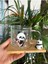 Panda Figürlü Cam Bardak Panda-Karışık desen- kaşıklı altlıklı Kupa -fincan 3