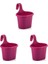 Asma Balkon Saksi Seti, 3 L, 3 Adet, Fusya 1